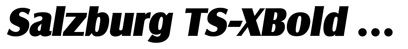 Salzburg TS-XBold Italic